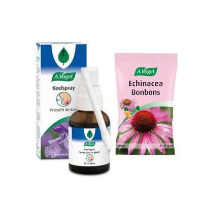 Echinacea bon bons