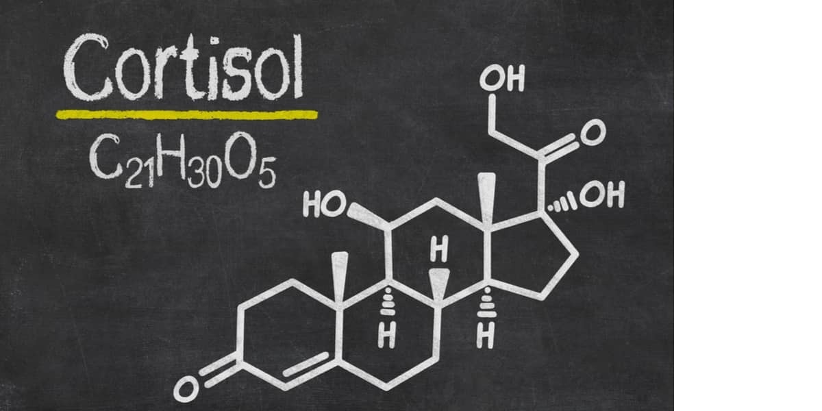 cortisol