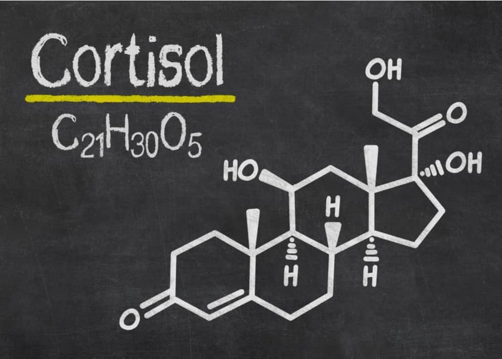 cortisol