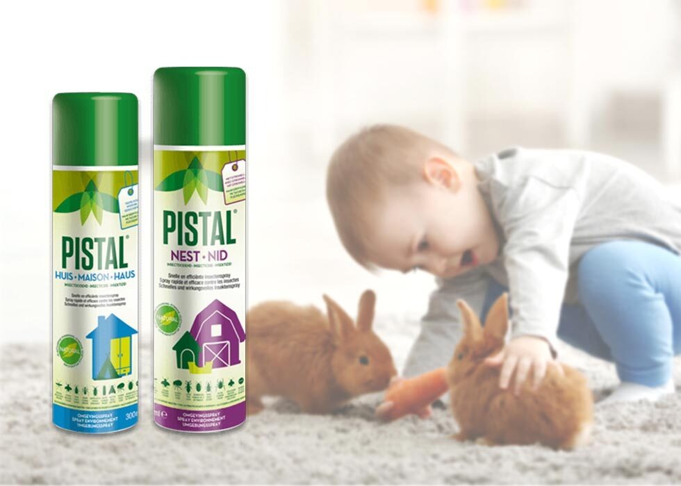 Vivre sans insectes avec Pistal