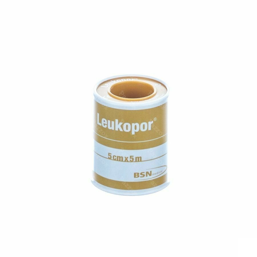 Leukopor Fourreau Sparadrap 5,00cmx5,0m 1 0247400