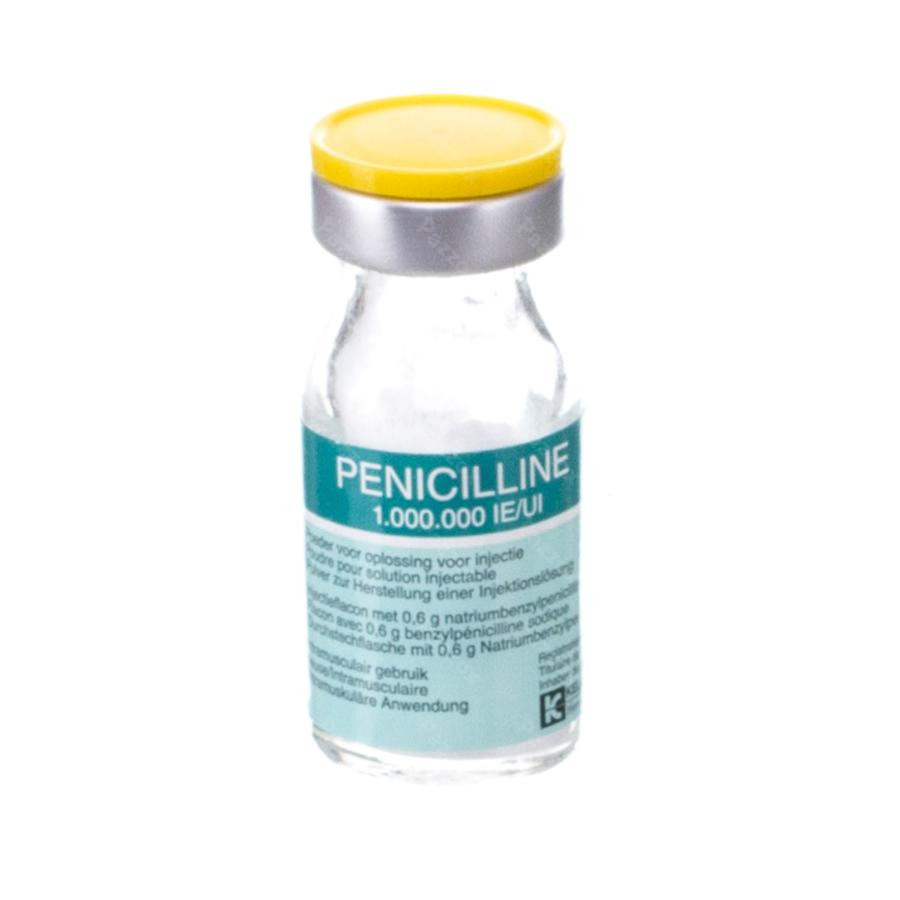 Penicilline 1 000 000 UI sol. inj. (pdr.) i.m./i.v./i.artic. flac. 100 x 1 10*6 UI