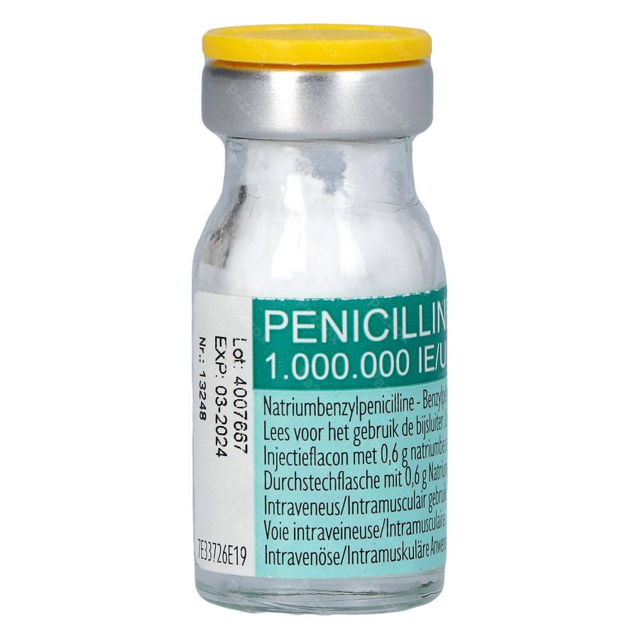 Penicilline 1 000 000 UI sol. inj. (pdr.) i.m./i.v./i.artic. flac. 100 x 1 10*6 UI