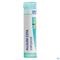 Boiron Allium Cepa Compos Granules 4g