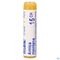 Boiron Arnica Montana 15CH Globules