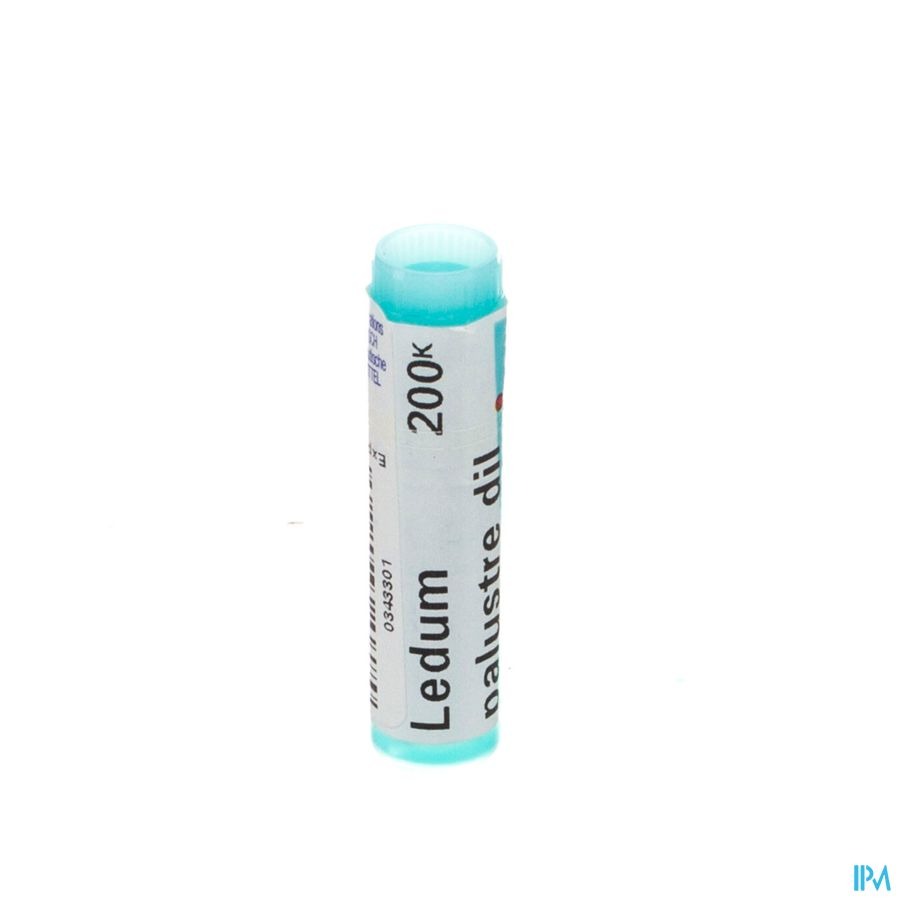Boiron Ledum Palustre 200K Globules