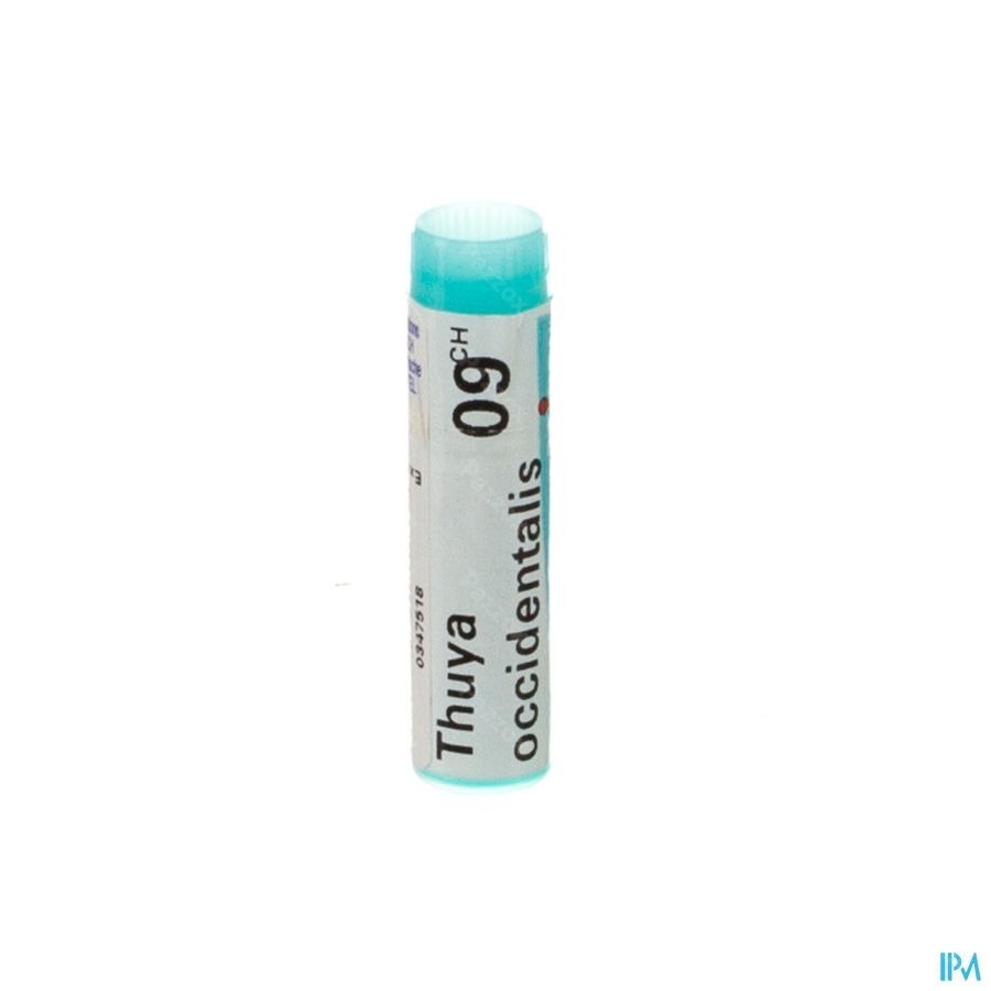 Boiron Thuya Occidentalis 9CH Globulen