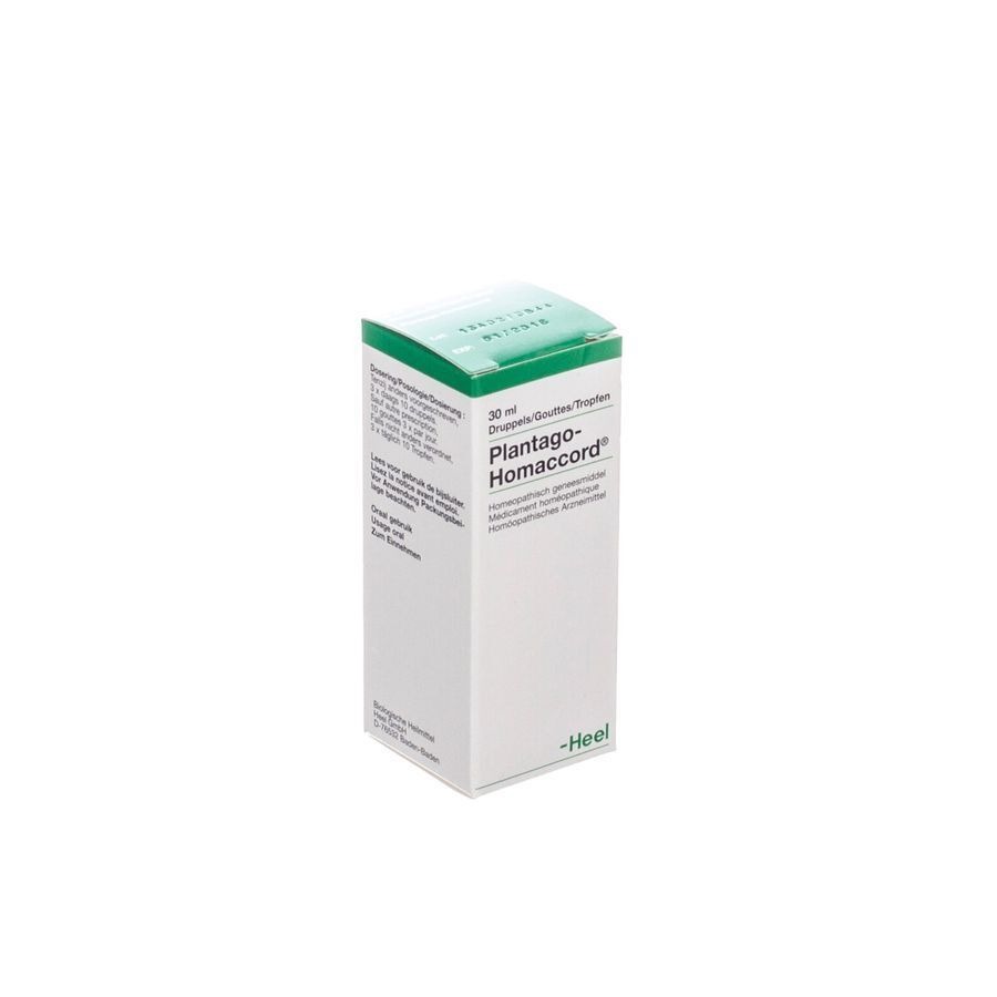 Plantago-homaccord Gutt 30ml Heel