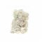 Wolf Doigtier Roule M 100