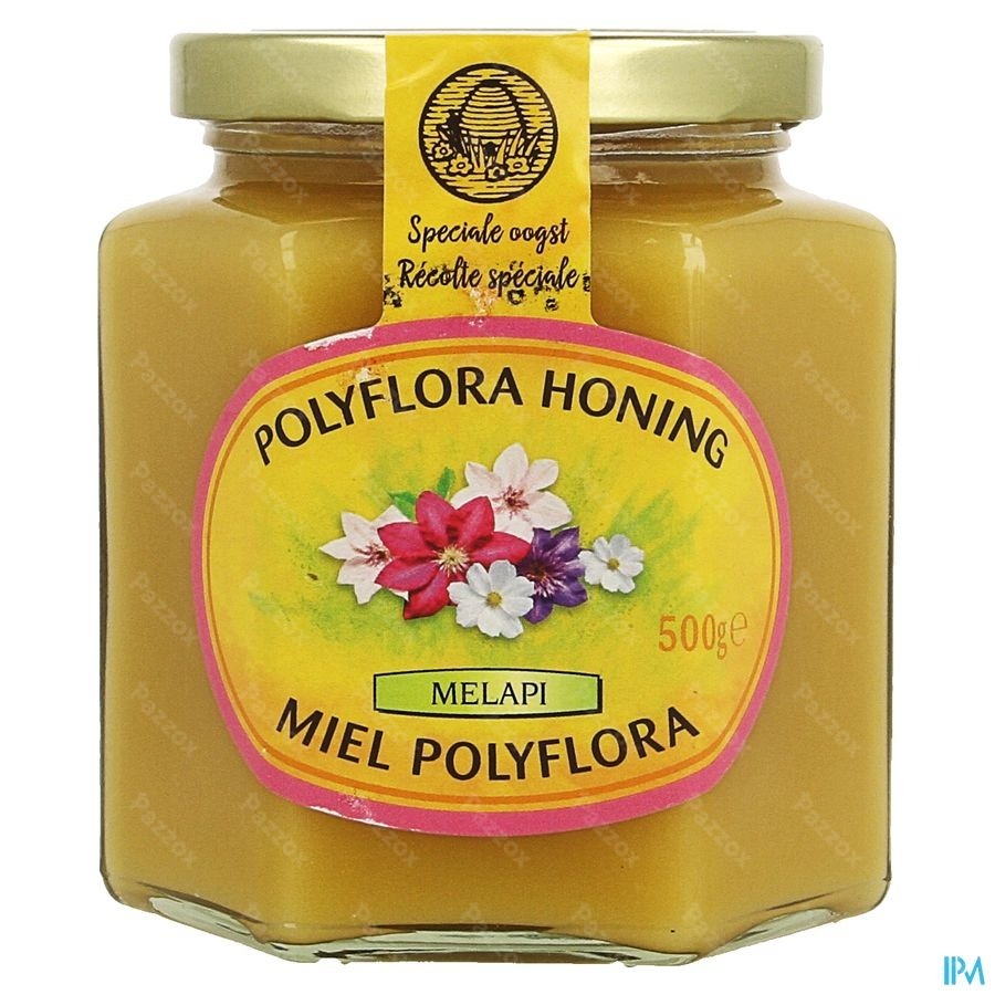 Melapi Miel Polyflora Tendre 500g 5531 Revogan