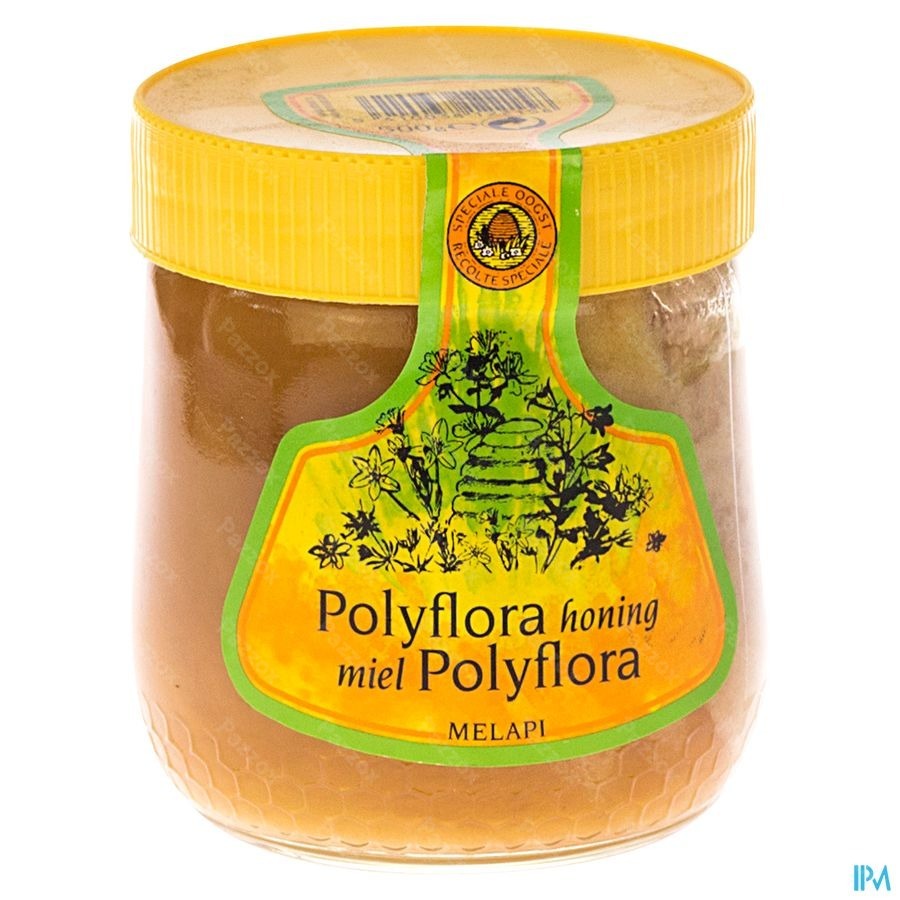 Melapi Miel Polyflora Tendre 500g 5531 Revogan