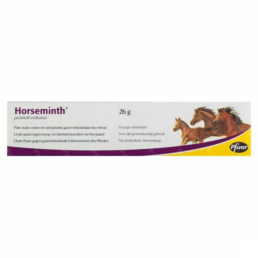 Horseminth Pate Seringue 1x26g
