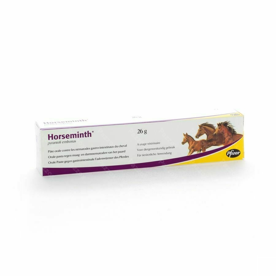 Horseminth Pate Seringue 1x26g