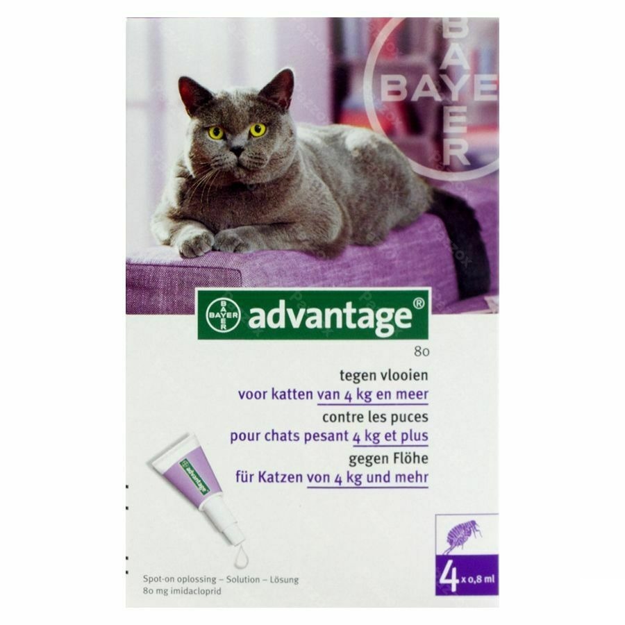 Advantage 80 Chats >4kg 4x0,8ml