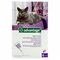 Advantage 80 Chats >4kg 4x0,8ml