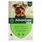 Advantage 40 Honden <4kg 4x0,4ml