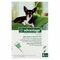 Advantage 40 Honden <4kg 4x0,4ml