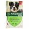 Advantage 250 Honden 10<25kg 4x2,5ml