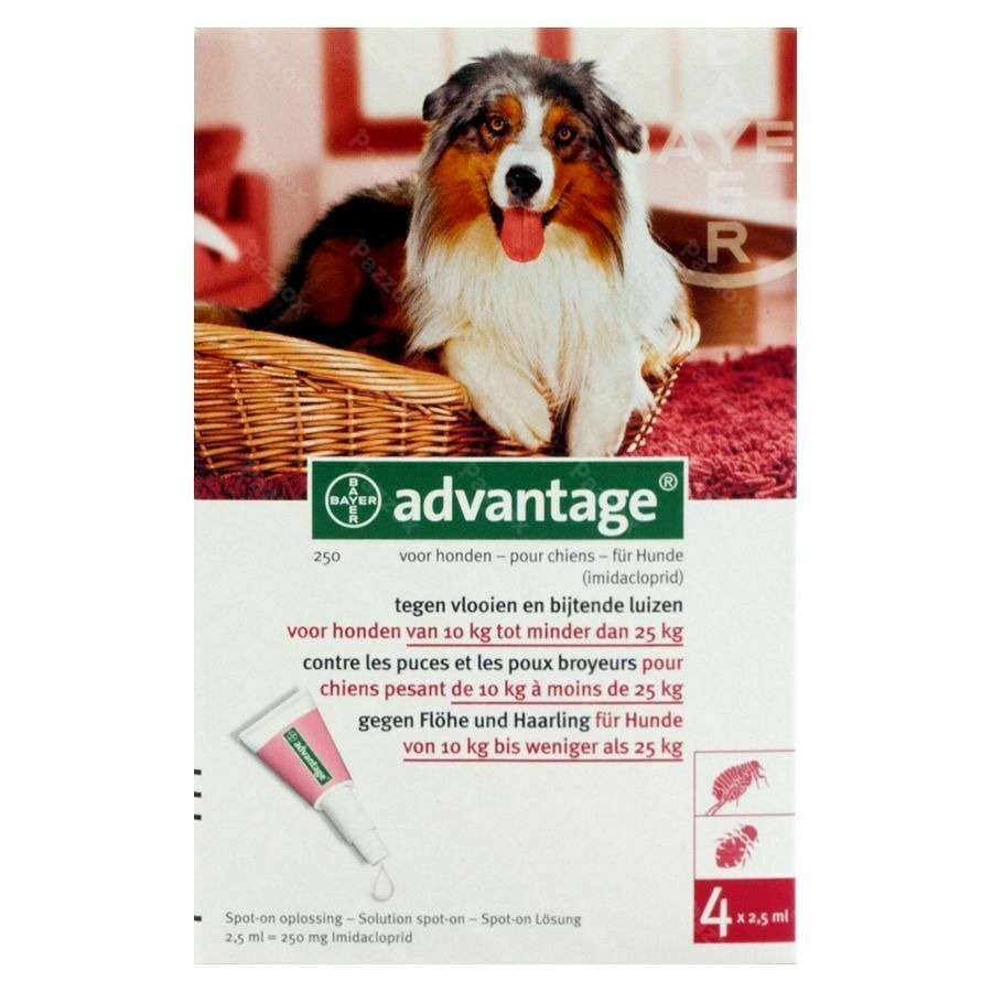 Advantage 250 Honden 10<25kg 4x2,5ml