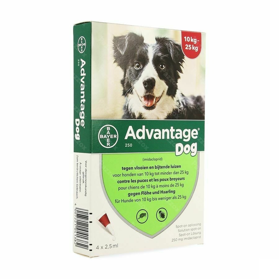 Advantage 250 Honden 10<25kg 4x2,5ml