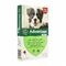 Advantage 250 Honden 10<25kg 4x2,5ml