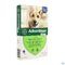 Advantage 400 Honden 25<40kg 4x4ml