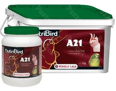 Nutribird A21 3kg Aliment D'élevage à la Main Pour Tous Les Oisillons