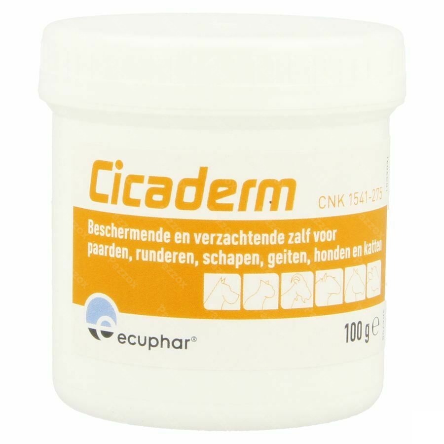 Cicaderm Zalf 100g