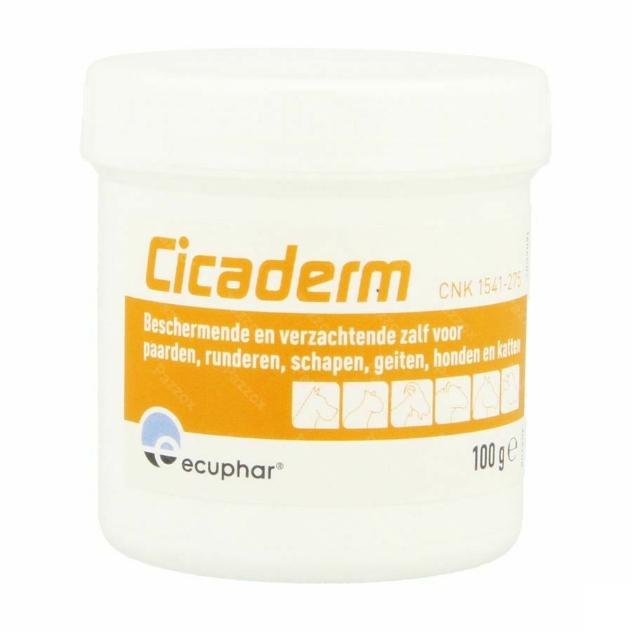 Cicaderm Zalf 100g