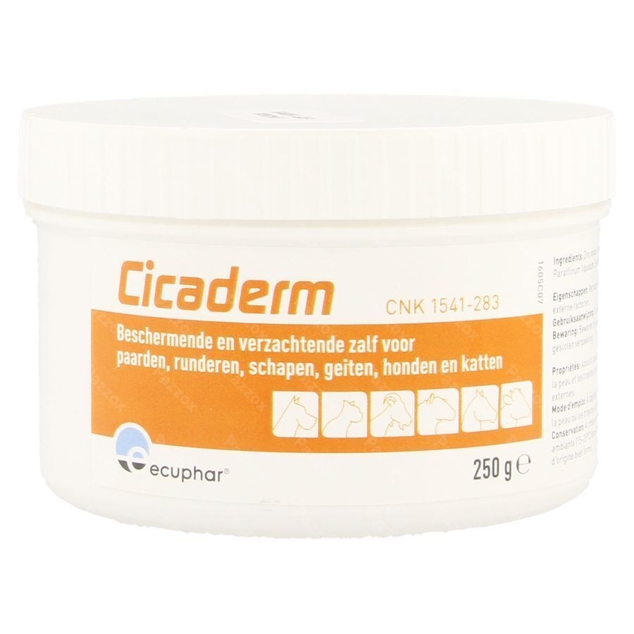 Cicaderm Pommade 250g