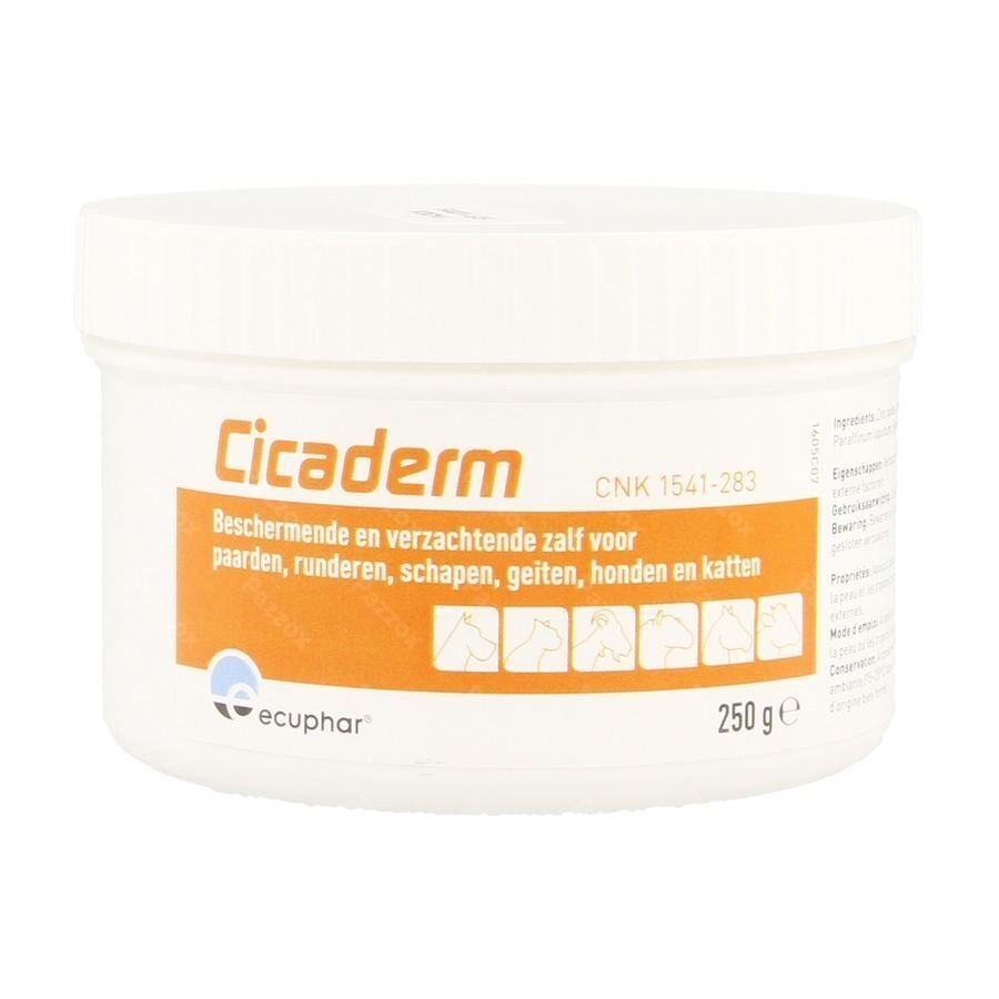 Cicaderm Pommade 250g