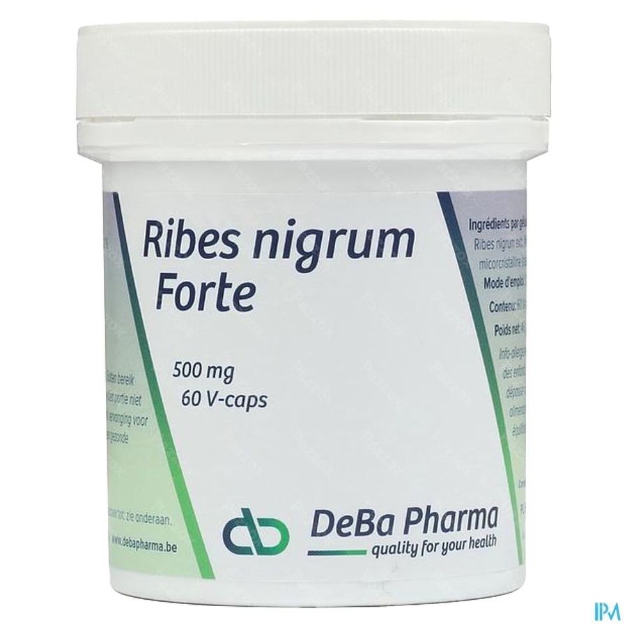 Ribes Nigrum V-caps 60 Deba