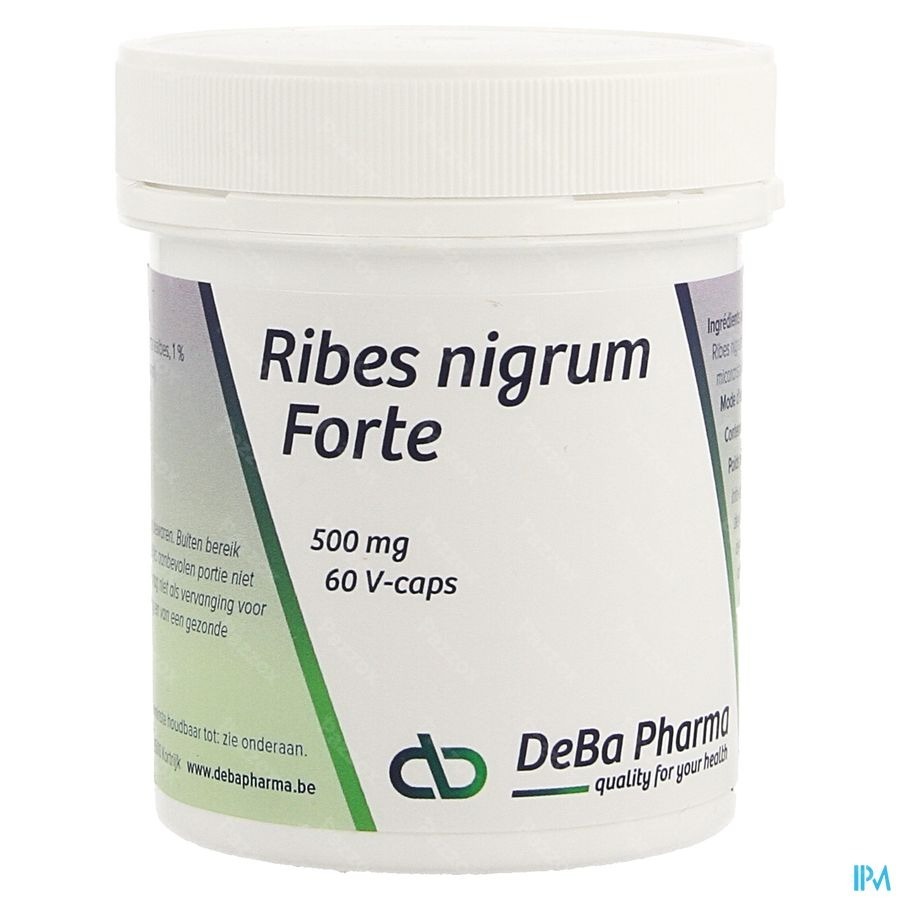 Ribes Nigrum V-caps 60 Deba