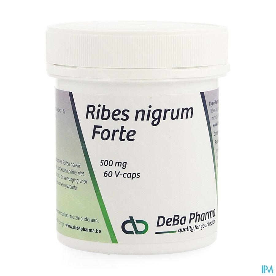 Ribes Nigrum V-caps 60 Deba