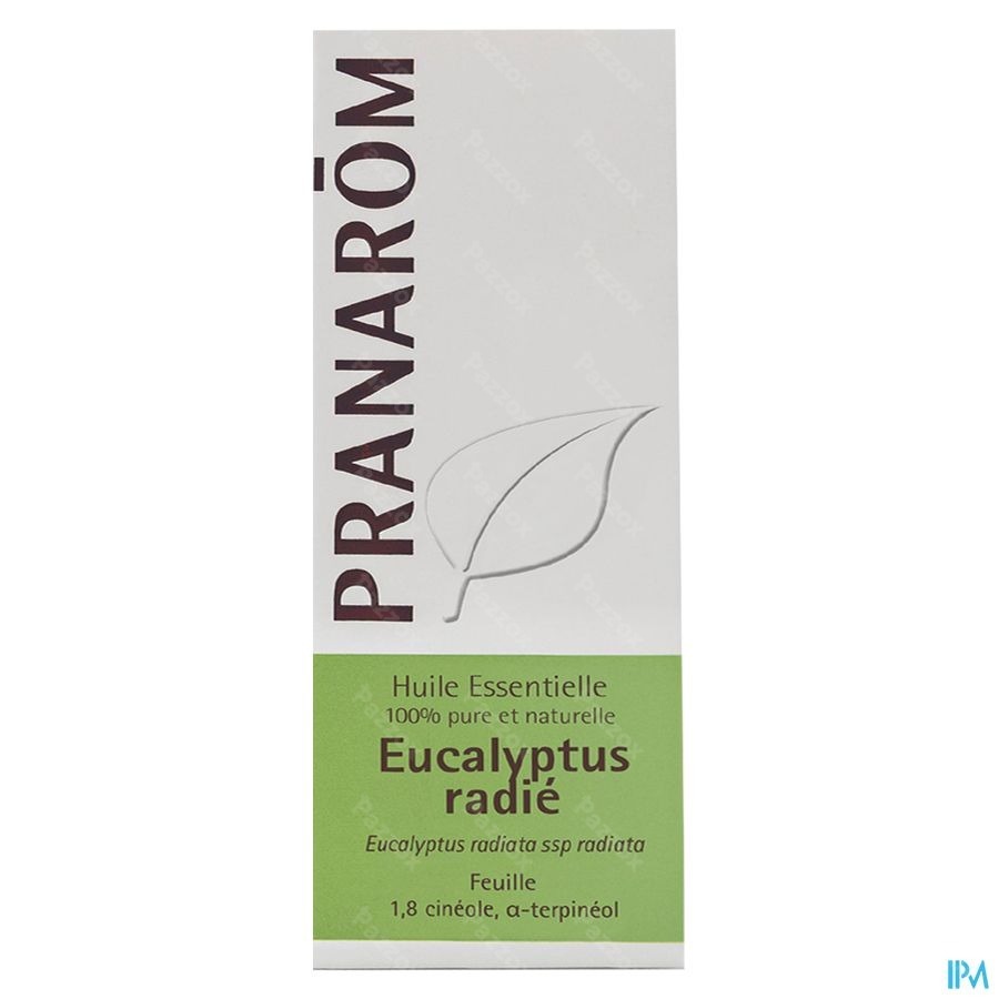 Pranarôm Essentiële Olie Eucalyptus Radiata 10ml