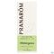 Pranarôm Essentiële Olie Wintergroen 10ml