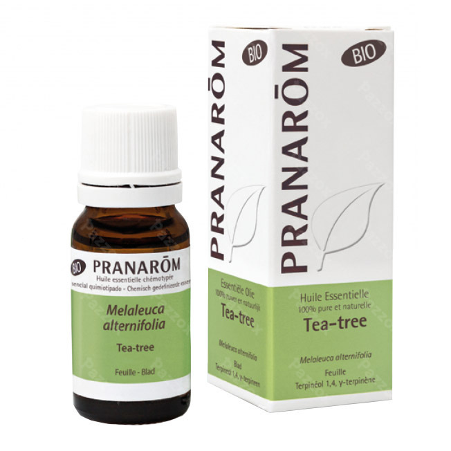 Pranarôm Essentiële Olie Tea Tree 10ml
