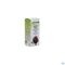 Bardane Teint Bio 50ml Biov