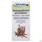 Duivelsklauw Tinct Bio 50ml Biov
