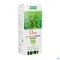Salus Jus Bouleau Bio 200ml