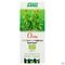 Salus Jus Bouleau Bio 200ml