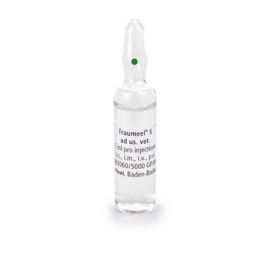 Traumeel S Ad Us.vet Amp 50x5,0ml