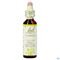Bach Flower Remedie 09 Clematis 20ml