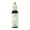 Bach Flower Remedie 15 Holly 20ml