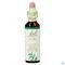 Bach Flower Remedie 15 Holly 20ml