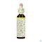 Bach Flower Remedie 16 Honeysuckle 20ml