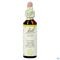 Bach Flower Remedie 23 Olive 20ml