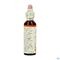 Bach Flower Remedie 25 Red Chestnut 20ml
