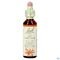 Bach Flower Remedie 25 Red Chestnut 20ml