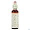 Bach Flower Remedie 25 Red Chestnut 20ml